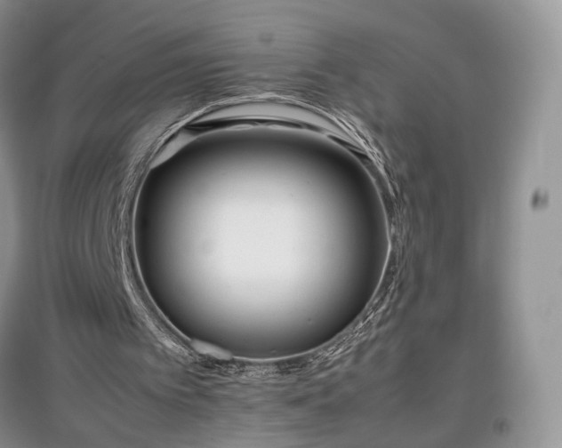 X0000097640097200803071601