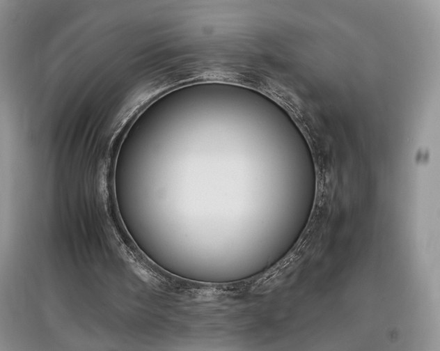 X0000097640098200803071601