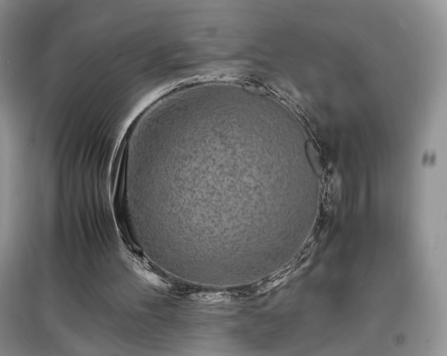 X0000097640100200803071601