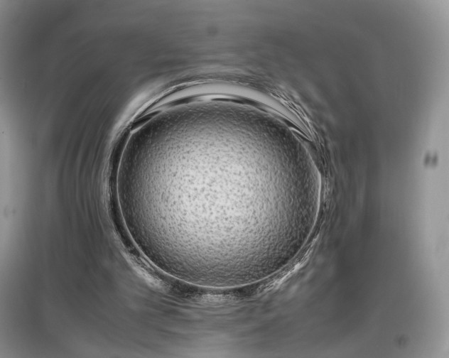 X0000097640101200803071601