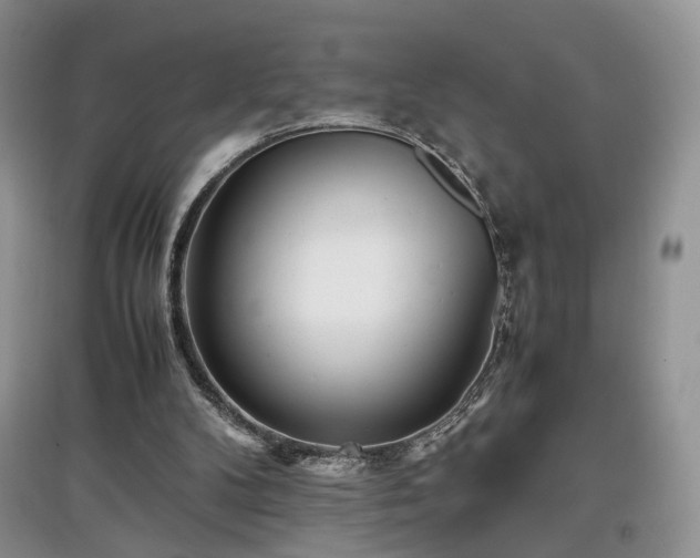 X0000097640104200803071601