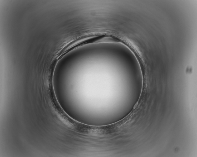 X0000097640105200803071601