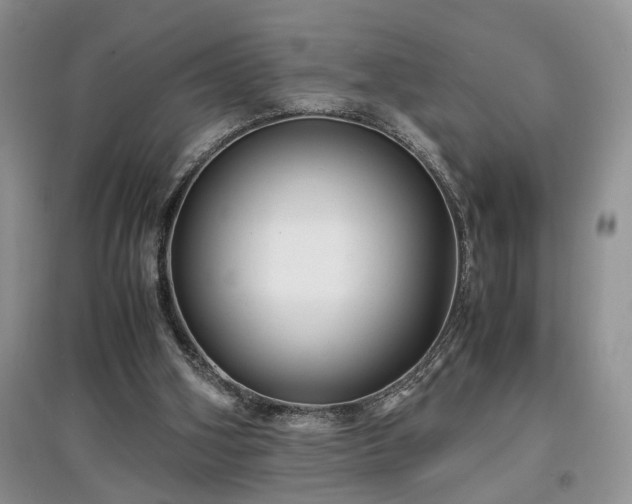 X0000097640106200803071601