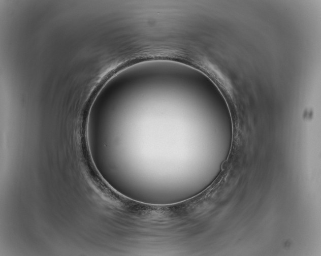 X0000097640107200803071601