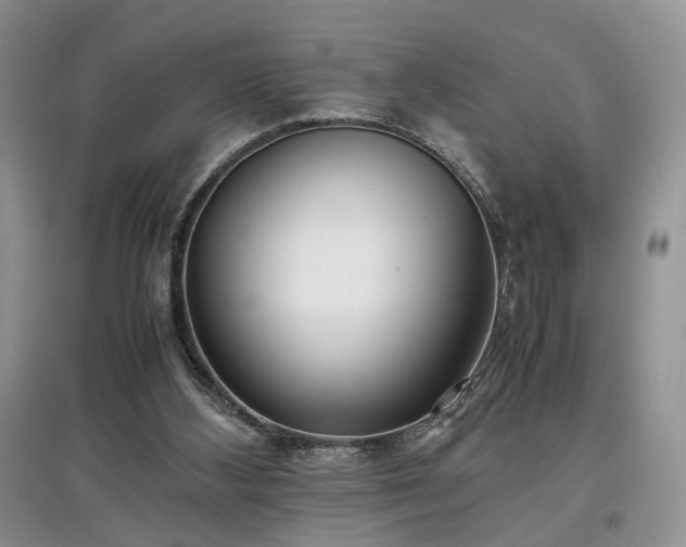 X0000097640108200803071601