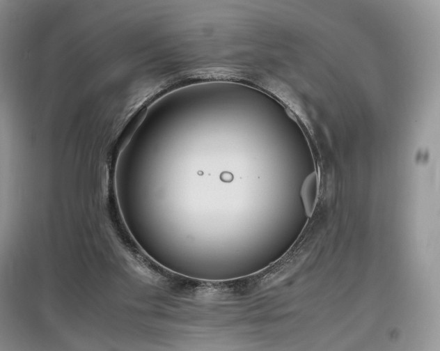 X0000097640109200803071601