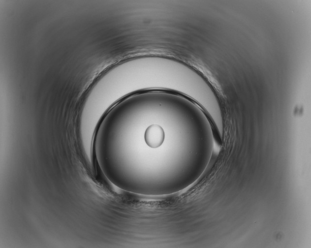 X0000097640110200803071601