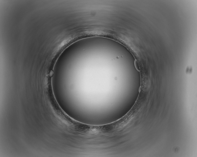 X0000097640111200803071601