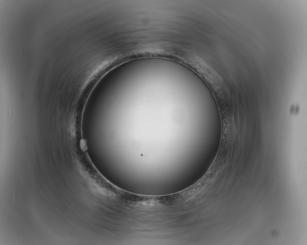 X0000097640112200803071601