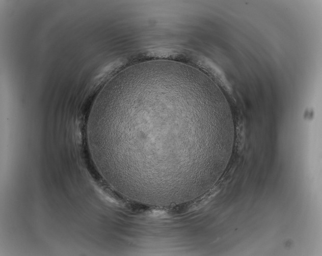 X0000097640114200803071601