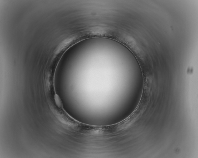 X0000097640116200803071601