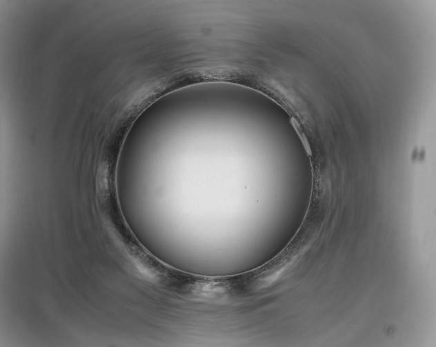 X0000097640117200803071601