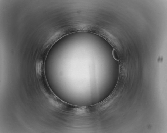 X0000097640118200803071601