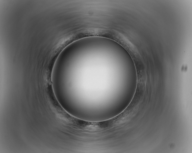 X0000097640119200803071601