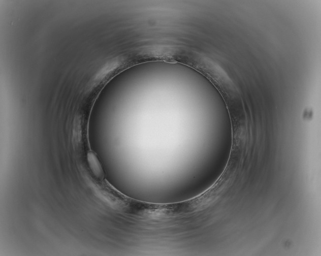 X0000097640120200803071601