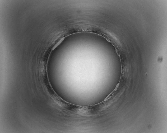 X0000097640121200803071601