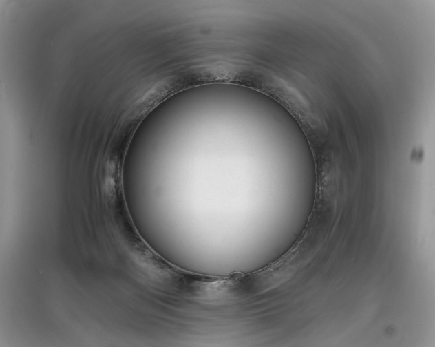 X0000097640122200803071601