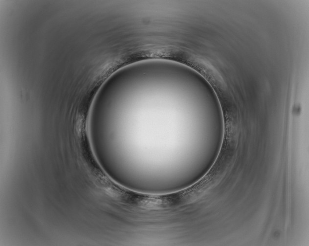 X0000097640123200803071601