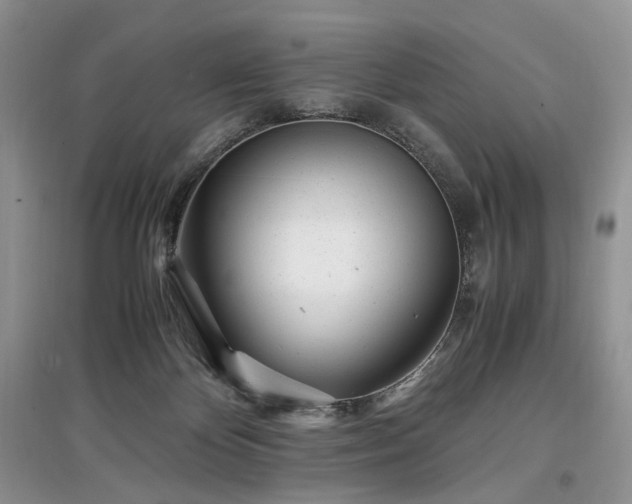 X0000097640124200803071601