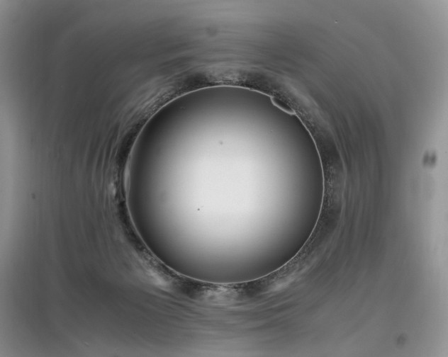 X0000097640125200803071601