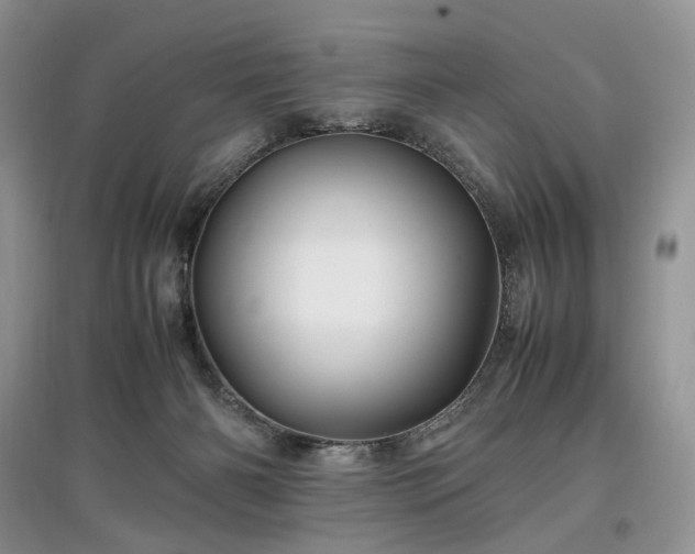 X0000097640126200803071601