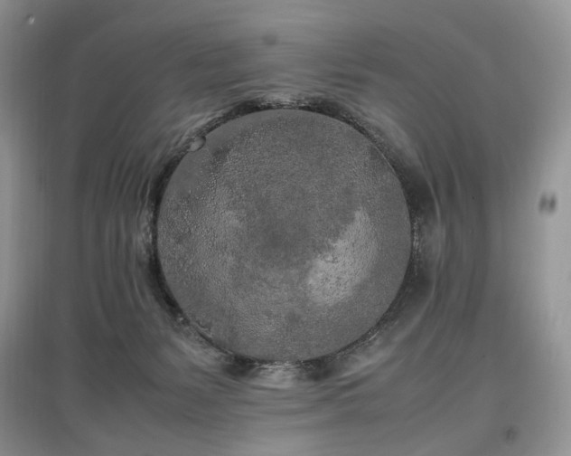 X0000097640127200803071601