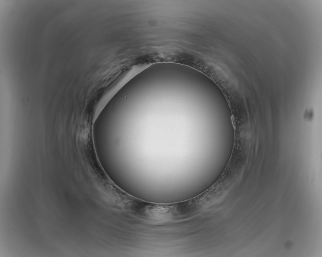 X0000097640129200803071601