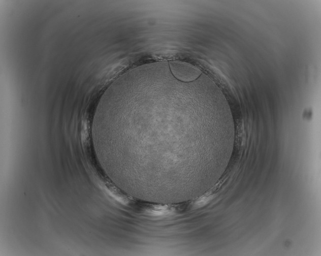 X0000097640130200803071601