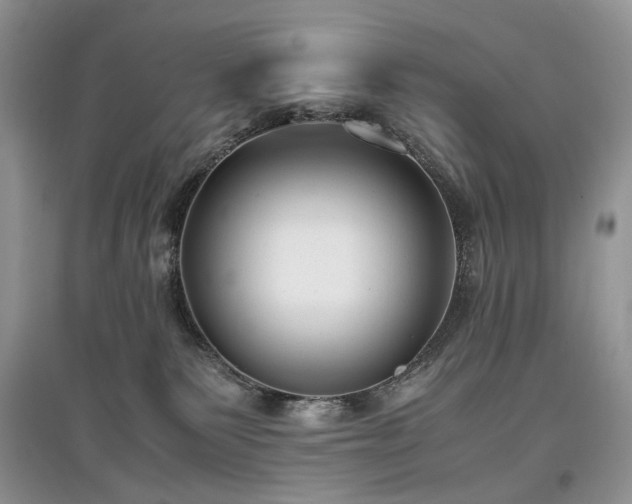 X0000097640135200803071601