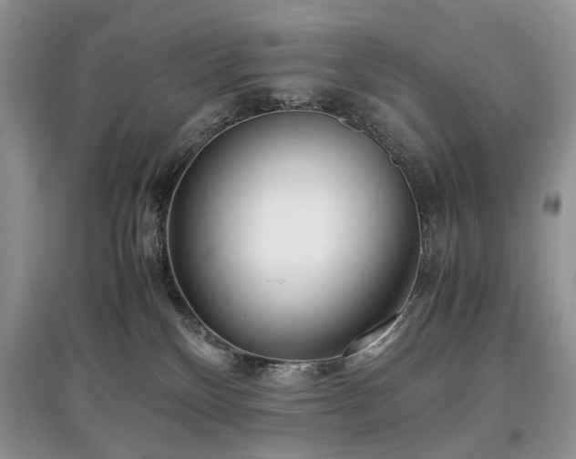 X0000097640136200803071601