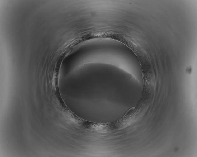 X0000097640139200803071601