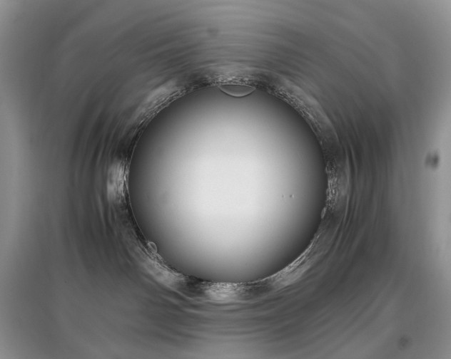 X0000097640142200803071601