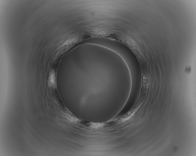 X0000097640143200803071601