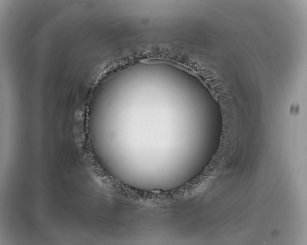 X0000097640144200803071601