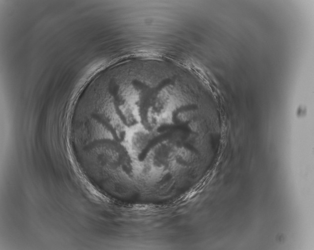 X0000097640145200803071600