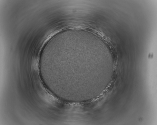 X0000097640146200803071600