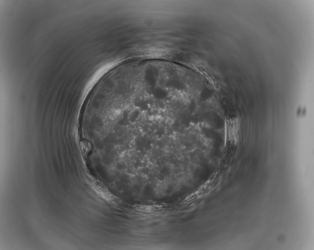 X0000097640147200803071600