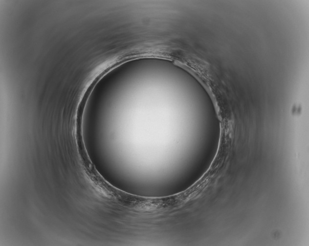 X0000097640148200803071600