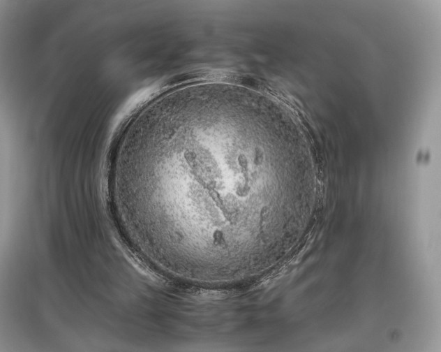 X0000097640149200803071600