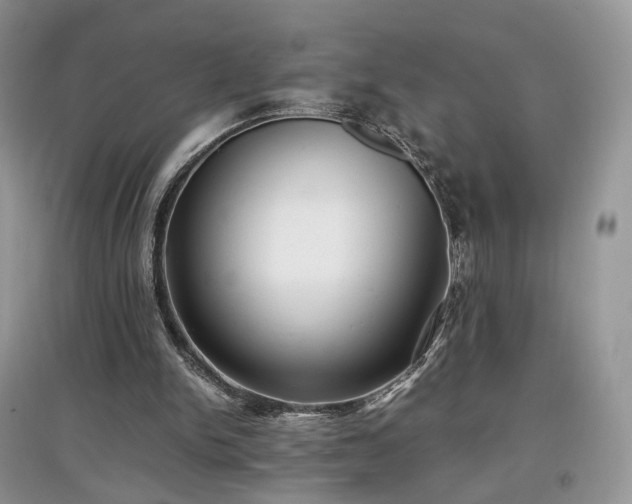 X0000097640150200803071600