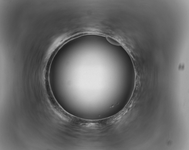 X0000097640151200803071600