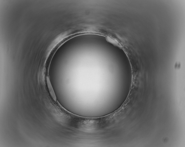 X0000097640152200803071600