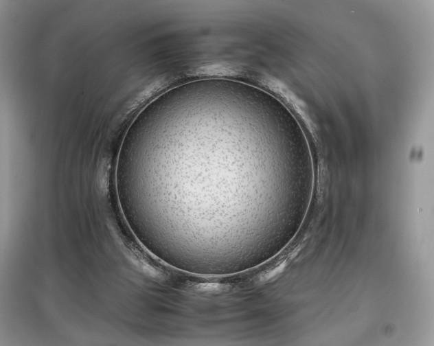 X0000097640153200803071600