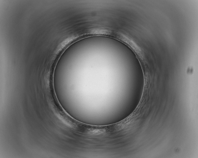 X0000097640155200803071600