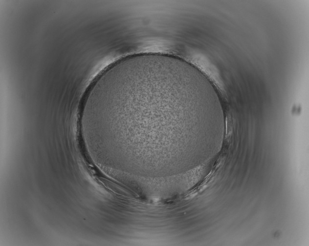 X0000097640156200803071600