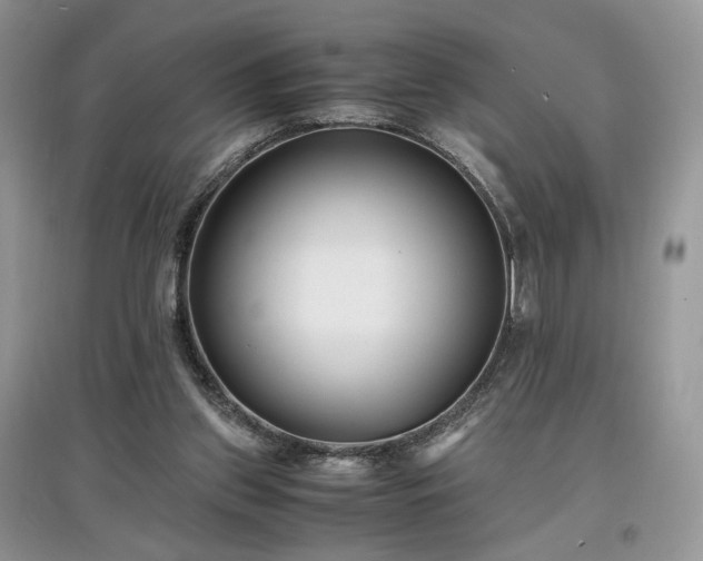 X0000097640157200803071600