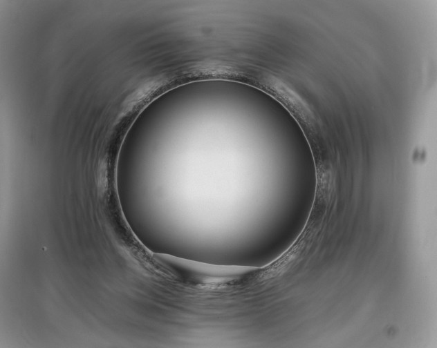 X0000097640158200803071600