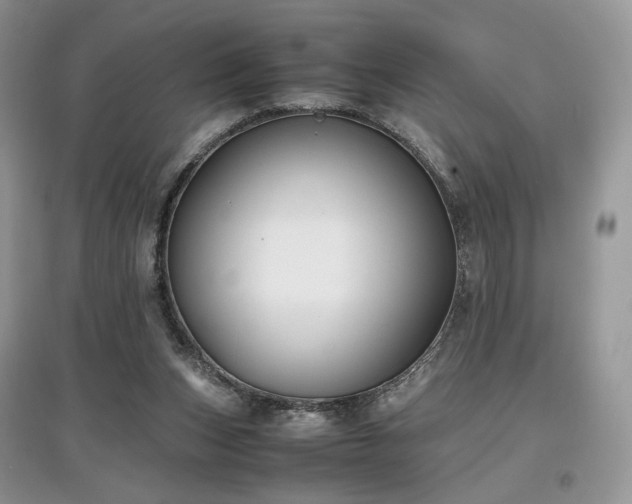 X0000097640159200803071600