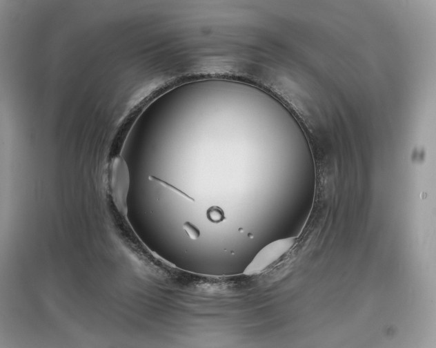 X0000097640160200803071600