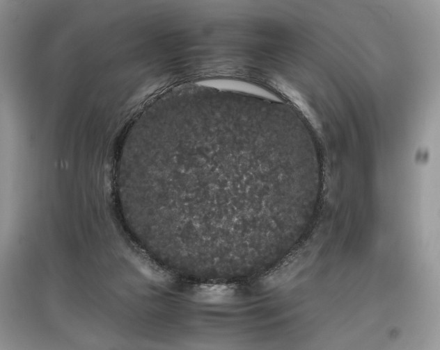 X0000097640161200803071600